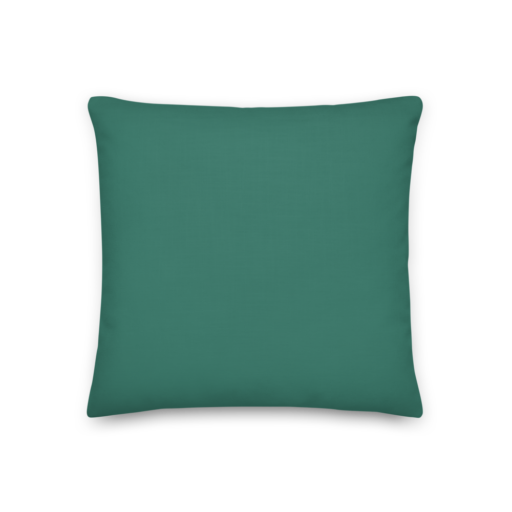 "Sad James" Pillow in Turquoise