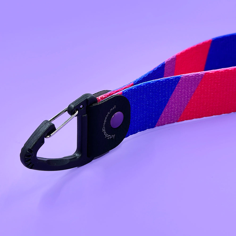 A Bisexual Keyfob