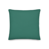 "Sad James" Pillow in Turquoise