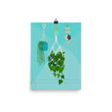 Hanging Plants and a Mobile Print