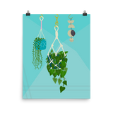 Hanging Plants and a Mobile Print
