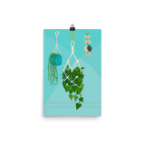 Hanging Plants and a Mobile Print